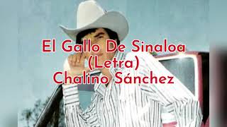 El Gallo De Sinaloa (Letra) Chalino Sánchez