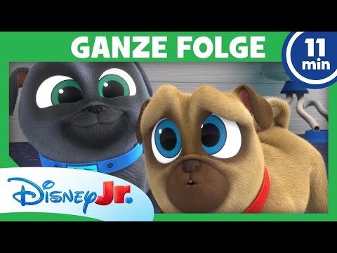 Das neue Team GANZE FOLGE 7 | Welpen Freunde