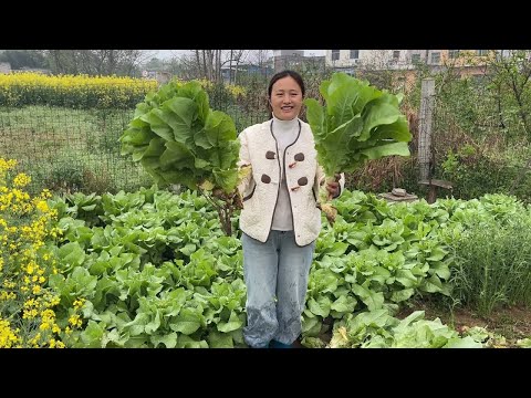 江哥a叉奔菜單