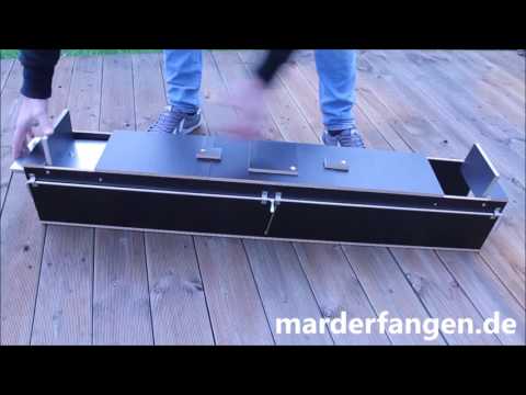 Marderfalle von Jagdfallen  Steingraf richtig aufstellen!