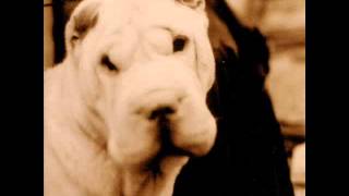 The Hope Blister - Friday Afternoon