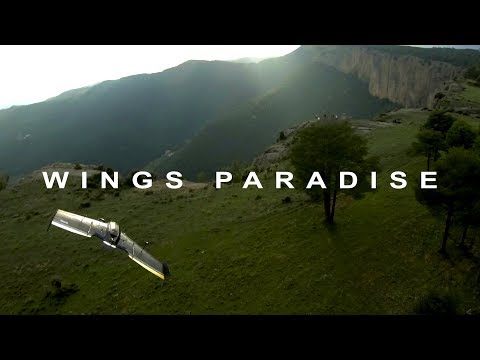 Wings Paradise // TBS Caipirinha 2 Chase