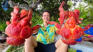 Huge Coconut Crab!! 🦀 (UNLIKE Any Other Crab on Earth!!) South Pacific Islands - YouTube