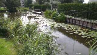 preview picture of video 'viswater en stekken krimpen aan de IJssel'