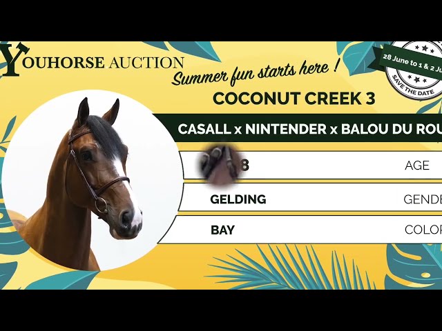 Coconut Creek huntervideo