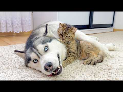 YouTube 썸네일