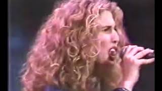 I Want You Sophie B  Hawkins Bob Dylan Tribute Concert 1992