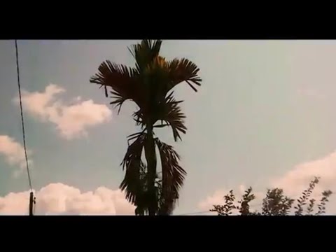 C-Shinoa - I No Di Go (Video Clip ) 2018