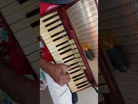 leco do acordeon, 21/09/25 quixaba pb.