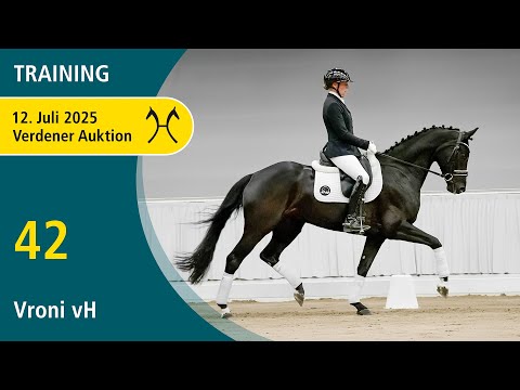 No. 42 Vroni vH by V-Plus - Wunschträumer | Verden Auction Online - Sporthorses - July, 12th