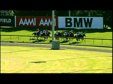 2008 - Myer Queen of the Turf Stakes - Forensics