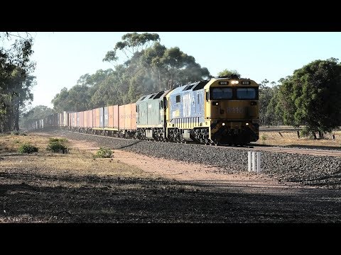 8110-G523 on 7901V between Bet Bet and Dunolly.  24-01-19.   08.07.54.