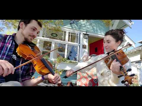 Dear Crow   //   Elkins