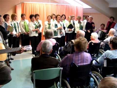 Lipa v Domu počitka v Mengšu - 25.marca 2009