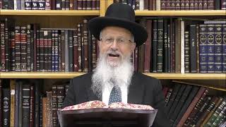 הגאון הרב אברהם יוסף שליט"א למה בקידוש בליל שני של ראש השנה מברכים שהחיינו ובתקיעת שופר לא מברכים (הרב אברהם יוסף) - התמונה מוצגת ישירות מתוך אתר האינטרנט יוטיוב. זכויות היוצרים בתמונה שייכות ליוצרה. קישור קרדיט למקור התוכן נמצא בתוך דף הסרטון