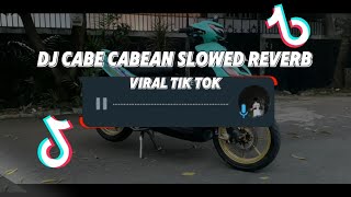 Download lagu DJ CABE CABEAN SLOWED REVERB VIRAL TIK TOK mp3
