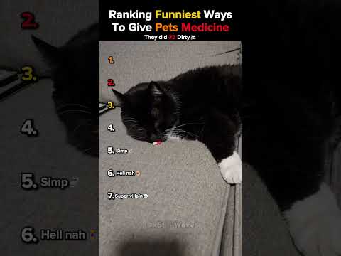 Ranking Funniest Ways To Give Pets Medicine🙀☠️