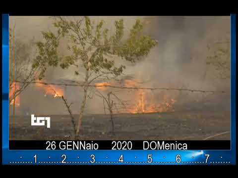 §.TG1-sera 26 gennaio 2020/* Australia dopo gli incendi, resoconti