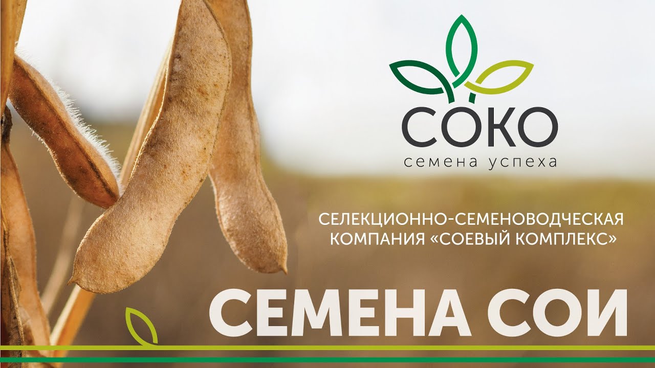 соя