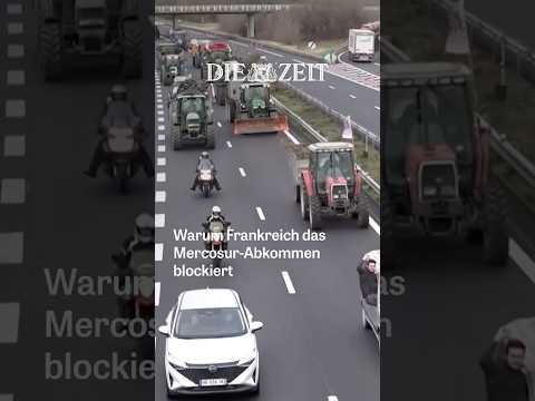Bauernproteste in Frankreich und Brüssel – das steckt hinter den Ausschreitungen