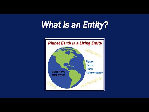 What is an Entity?