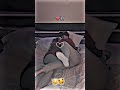 Tag Your Love Cute Hug Moment Cute Loving Couple Goals Love Status Shorts Love Lovestatus