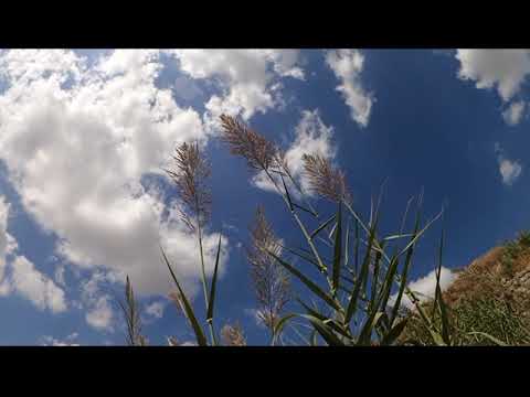 #Night Air Ambient, Worlds Apart - Rannar Sillard