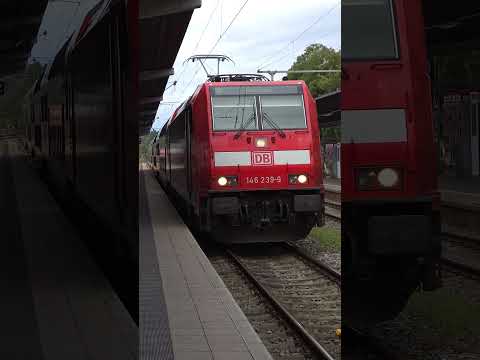 RE 2 von Singen (Karlsruhe) nach Konstanz BR 146 239 mit Doppelstockzug zur BR 103 #frankenbahn