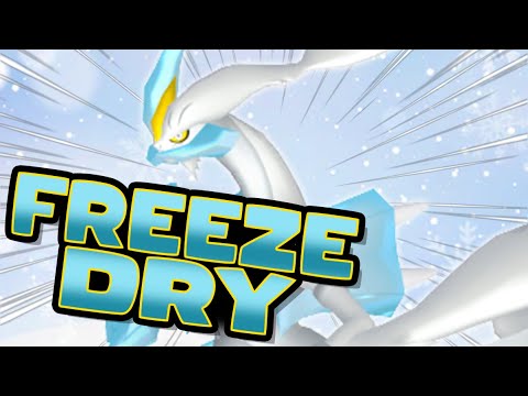KYUREM WHITE IS THE BEST UBER POKEMON! | Competitive Pokemon Draft League WiFi Battle!