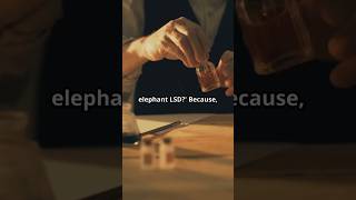 The Elephant On LSD: What happens when you give animals hard drugs?