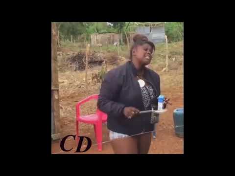 guarifoky maguachi completo