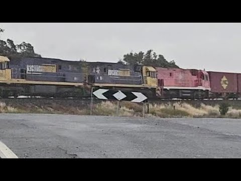 5PM5 PN up "Linfox Express" (NRs 106+69+109, 100P), Perth to Melbourne, 1650, 16/11/25, Murtoa VIC 