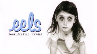 Eels - Toazted Interview 2003 (part 1 of 3)