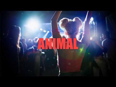 ANIMAL 🐺 || MILI DE ALBA ✘ BUI-3 CUMBIEROS ✘ DJ KAPOCHA 🌃 DESAFÍO 2021 - 6/50