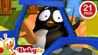 Pim & Pimba the Penguins Playing Games 🐧​