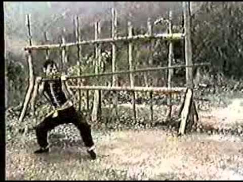 Wing Tsun (Chun)   Leung Ting   Authentic Wing Tsun 4