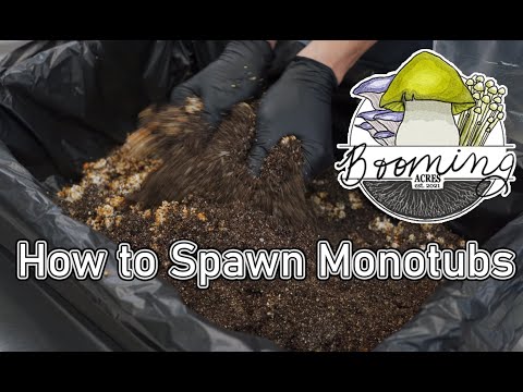 Spawning a Large Sized Monotub