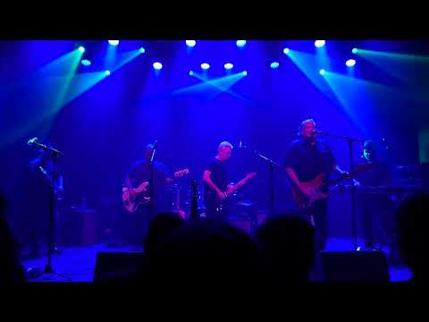 Videoclip de Marie Marie (Live) — Los Lobos