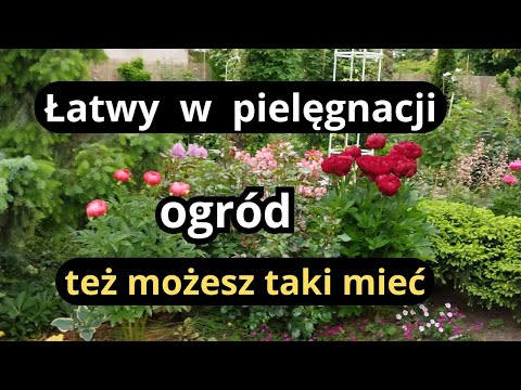 5 prostych zasad ułatwiających pielęgnację ogrodu, zaplanuj praktyczny ogród