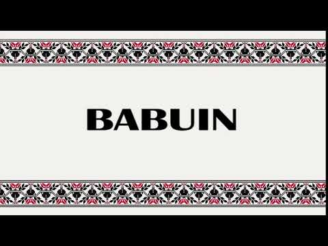 BABUIN definiție DEX