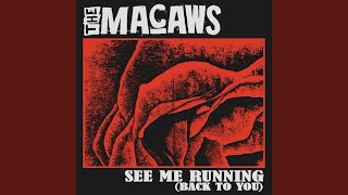 The Macaws - See Me Running (Back To You) video
