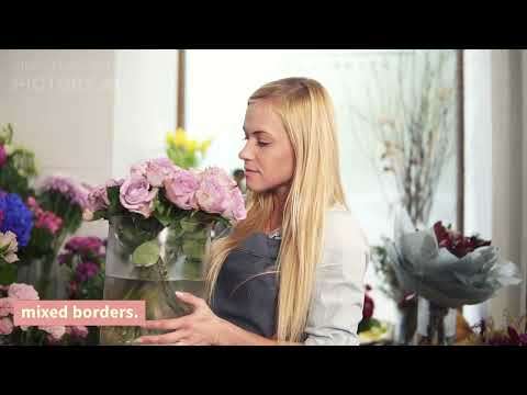 Top 5 Fragrant Garden Roses