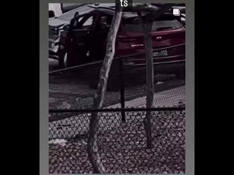 Camp Rackzz - free Tgk #kiaboys