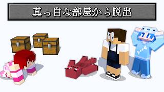 真っ白すぎる部屋からの脱出【マインクラフト】