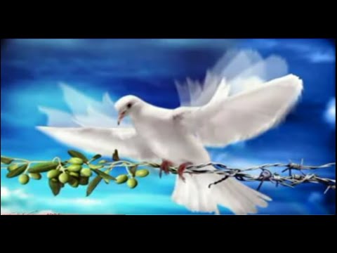 Blowin' In The Wind Medley ???????? ???????? ???????? ???????? for ???????? ode mne ☮️????????