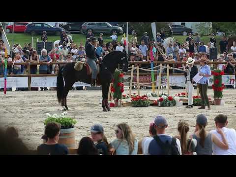 SILVA,GILBERTO 941, POR - World Championship Working Equitation 2018