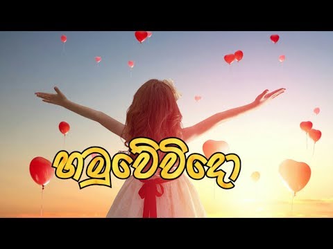 Hamuwevido (හමුවේවිදෝ) - Nadeera Nonis New Song 2019 | cartoon version