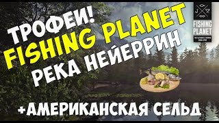 Как ловить на реке нейеррин места