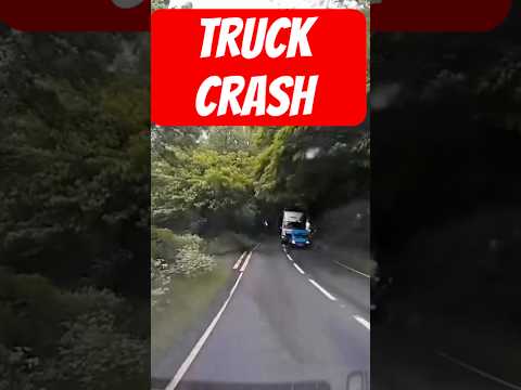 Collision where vehicle swerves into trees to avoid a car crash with a truck