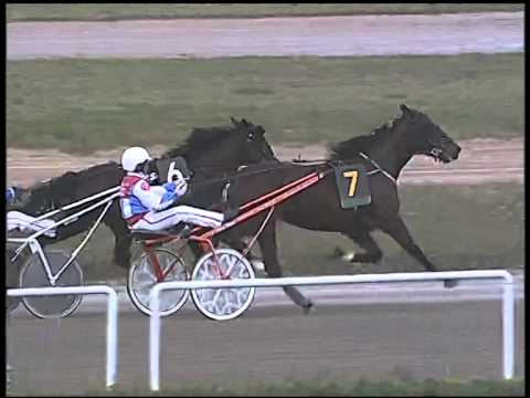 Trotto 16/11/2014 - 1° corsa